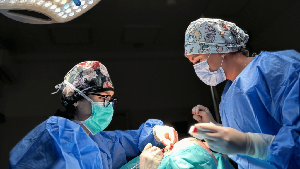 Chirurgia plastyczna 